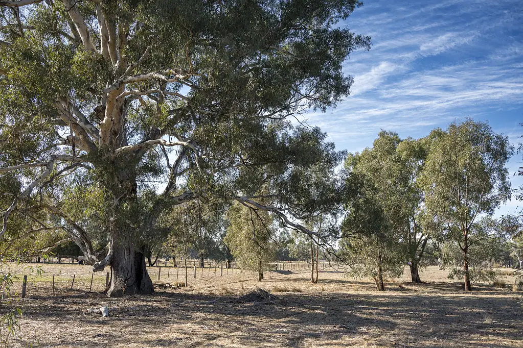 Benalla Idyllic setting to create your rural lifestyle