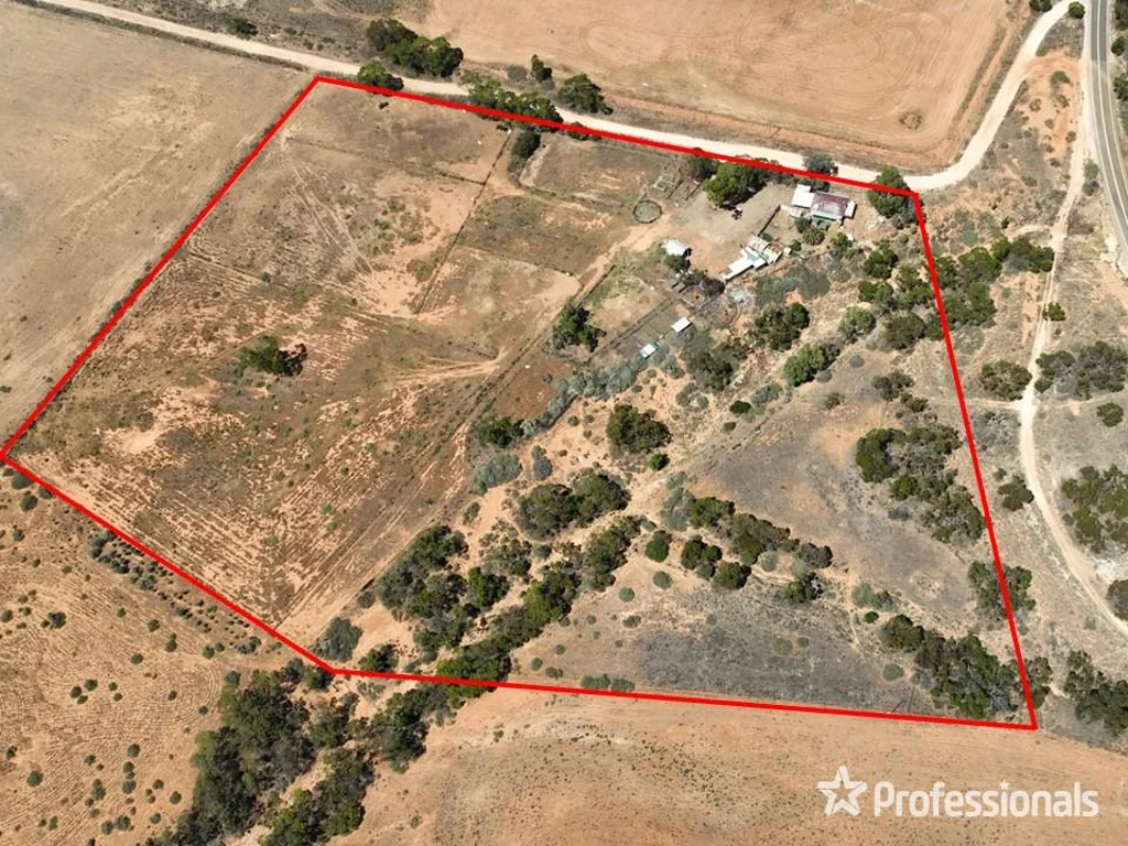 Bright 19 Acres - House, Sheds, Stables, Stallion Yard, Round Yard, Arena area.