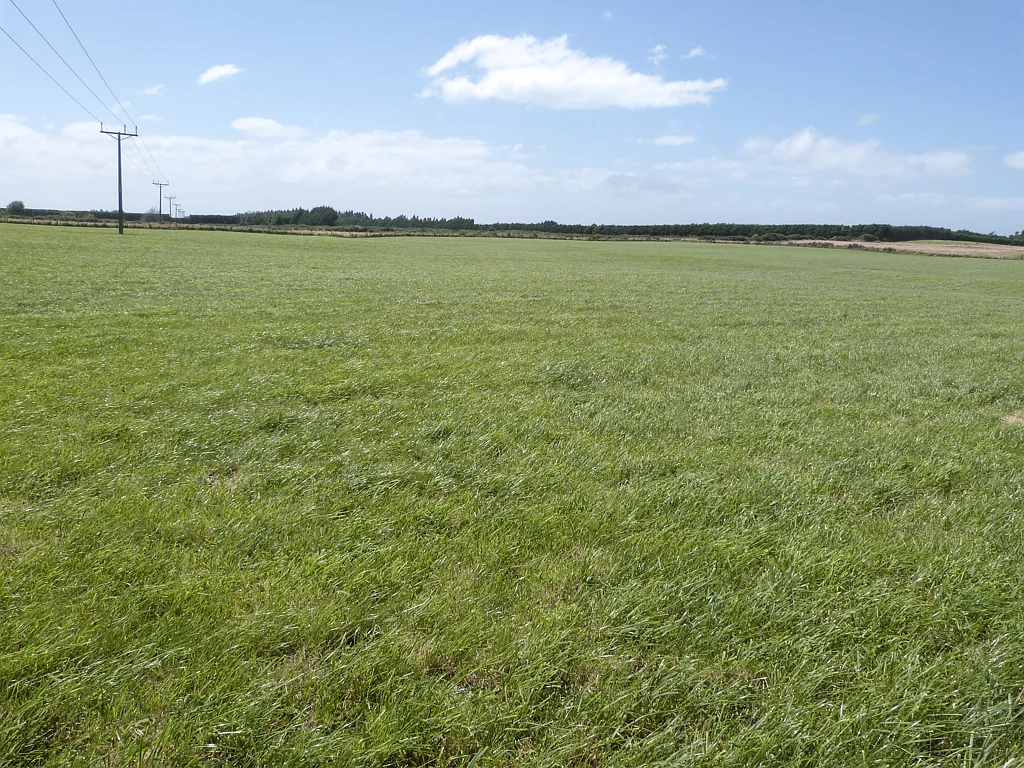 33 Mason Road, Seaward Bush, Southland