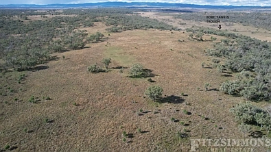 Address Withheld, Dalby, QLD 4405, 0 Kuwarto, 0 Banyo, Lifestyle Property