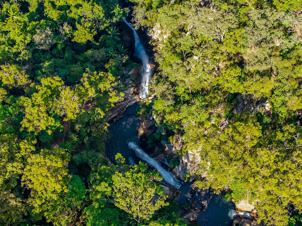 Tamborine Mountain 5कमरा Breathtaking Estate with Business Potential