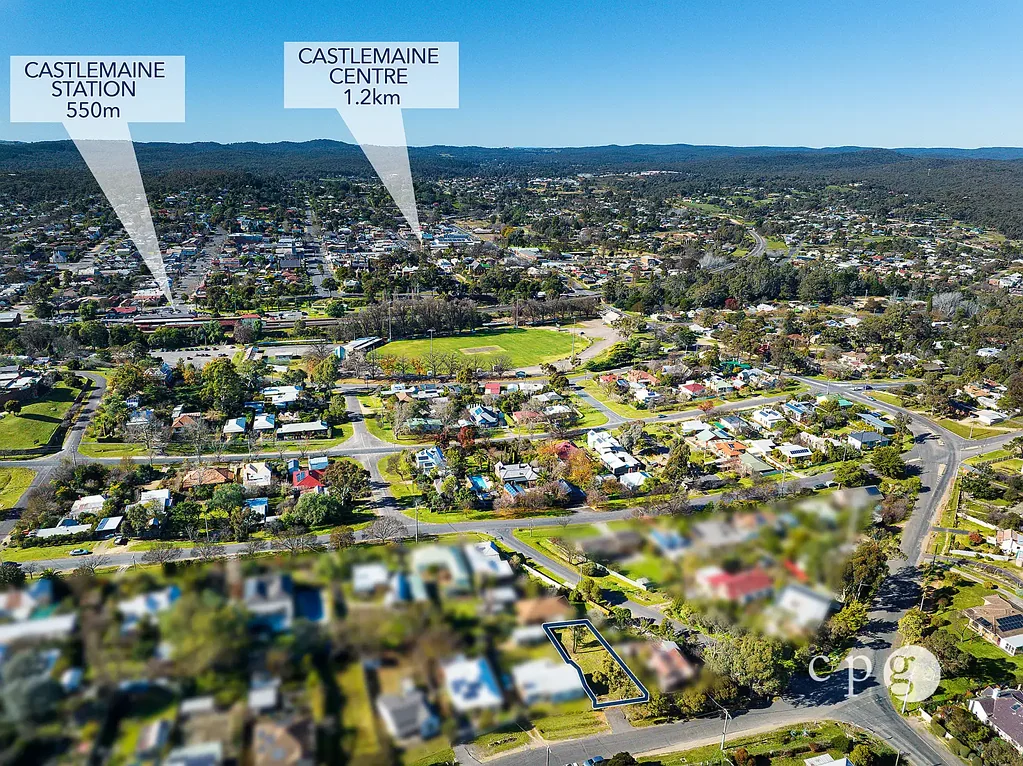 Castlemaine Morning Glory