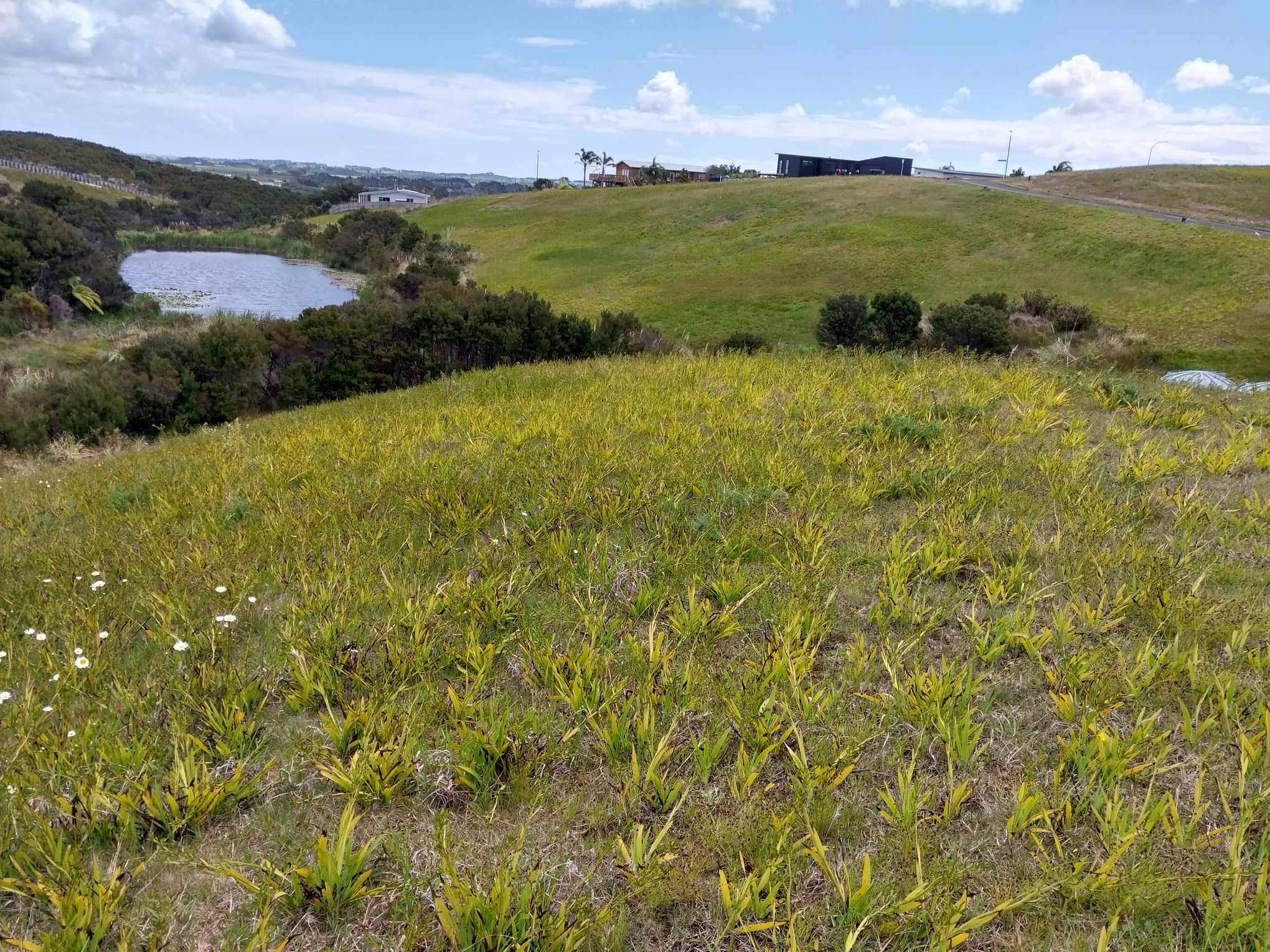 30 Brooke Road, Karikari Peninsula, Far North, 0 rūma, 0 rūma horoi, Section