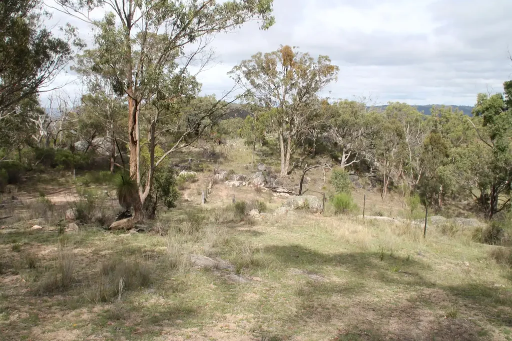 Tenterfield Bush block