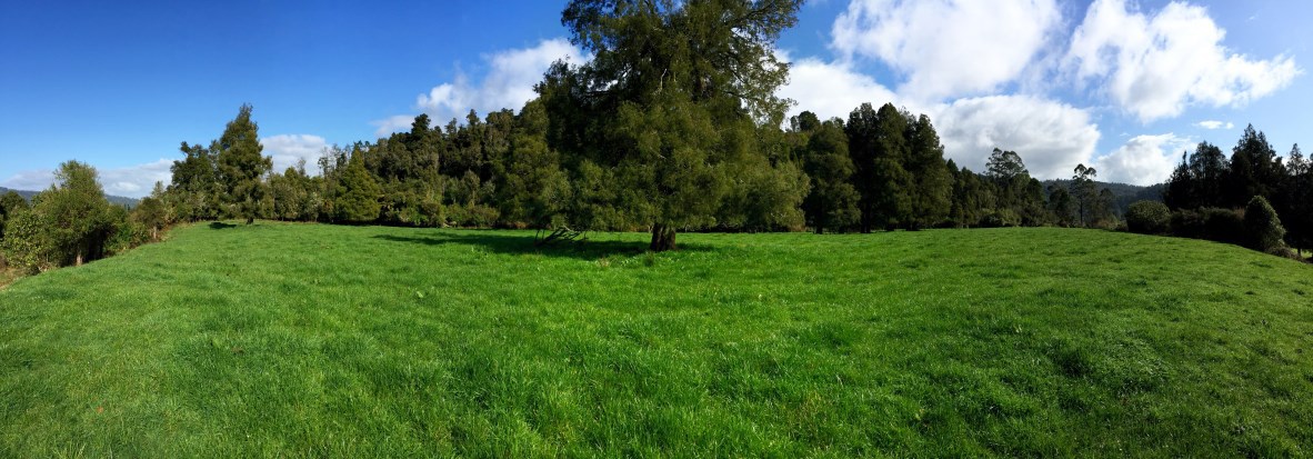 1 Umere Road, Karamea, Buller, 2 ਕਮਰੇ, 1 ਬਾਥਰੂਮ