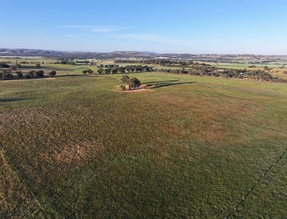 500 'Nunyara North' West Jindalee Rd, Cootamundra, NSW 2590, 0 ਕਮਰੇ, 0 ਬਾਥਰੂਮ, Lifestyle Property