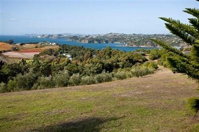 Hauraki Gulf Islands