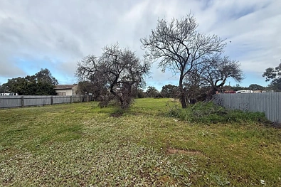 54 Newall Street, Marnoo, VIC 3387, 0 slaapkamers, 0 badkamers, Section