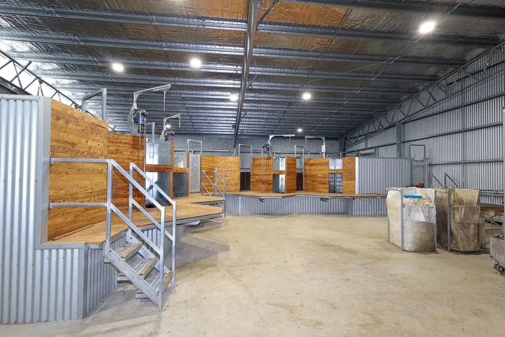 Hawkesdale Highly productive and recently redeveloped mixed farming opportunity