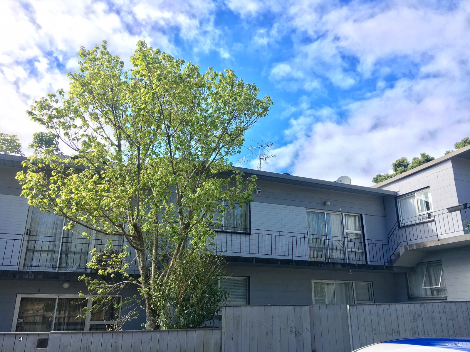 8/75 Ranfurly Road, Epsom, Auckland, 2 غرف, 1 حمامات