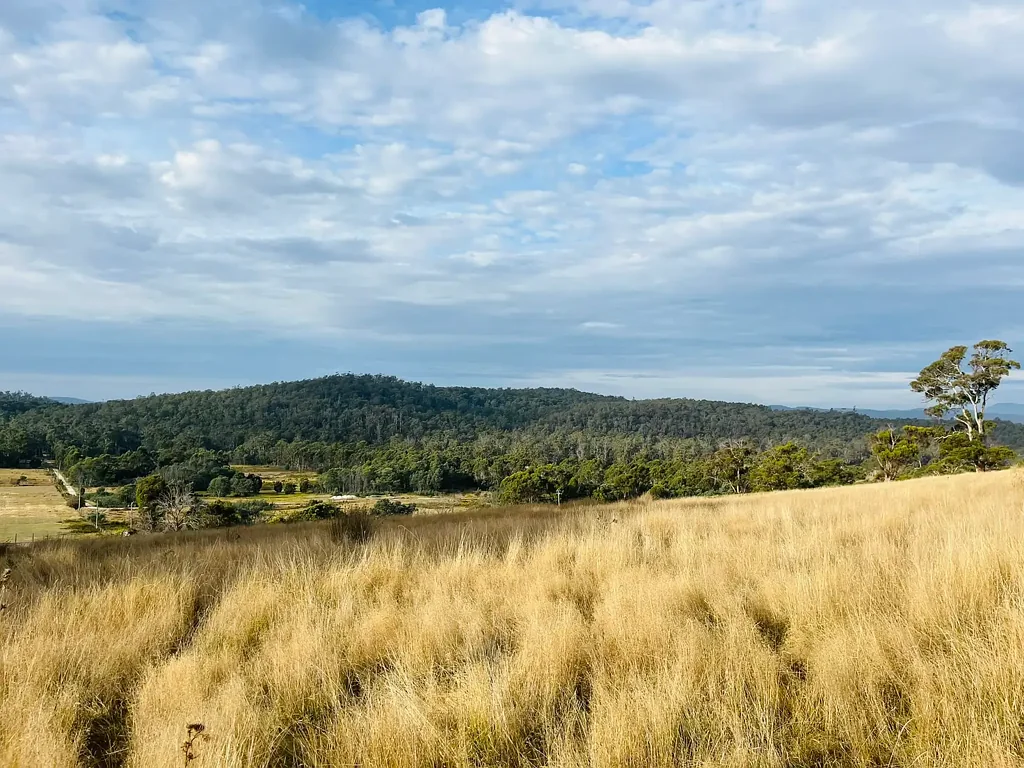 Loira  Land - 3 titles left with Water, Power, Sun and River Views.  West Tamar Wine Region. From $290,000
