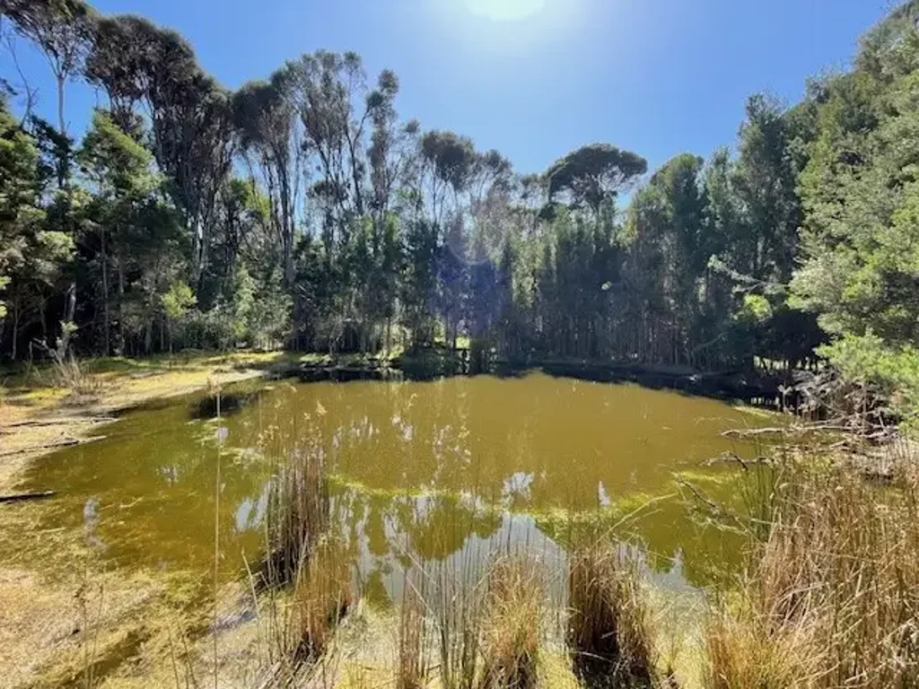 00 Fraser Rd, Pegarah, TAS 7256