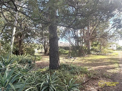Berrigan 3 Slaapkamer The Complete Lifestyle Package with Water Security and 3 Bedroom Brick Home