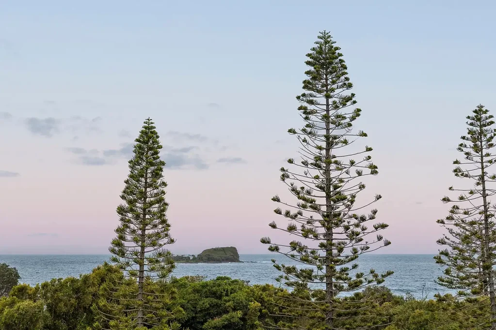 3/21 Mudjimba Esplanade, Mudjimba, QLD 4564
