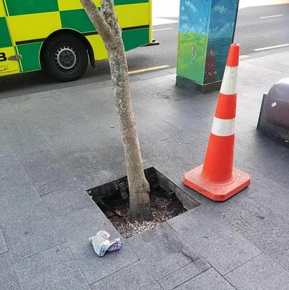 奥克兰园艺师出院回家路上被树坑绊倒惨死，究竟是医院不负责，还是议会工作懈怠？