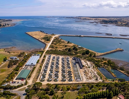 171 Bevic Road, Clarence Point, TAS 7270, 0房, 2浴, Lifestyle Property