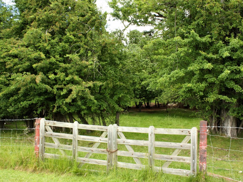 135 Cambrian Road, Omakau, Otago, 0 Bedrooms, 1 Bathrooms