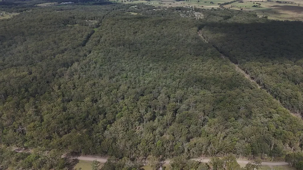 Collombatti Bushland Bliss