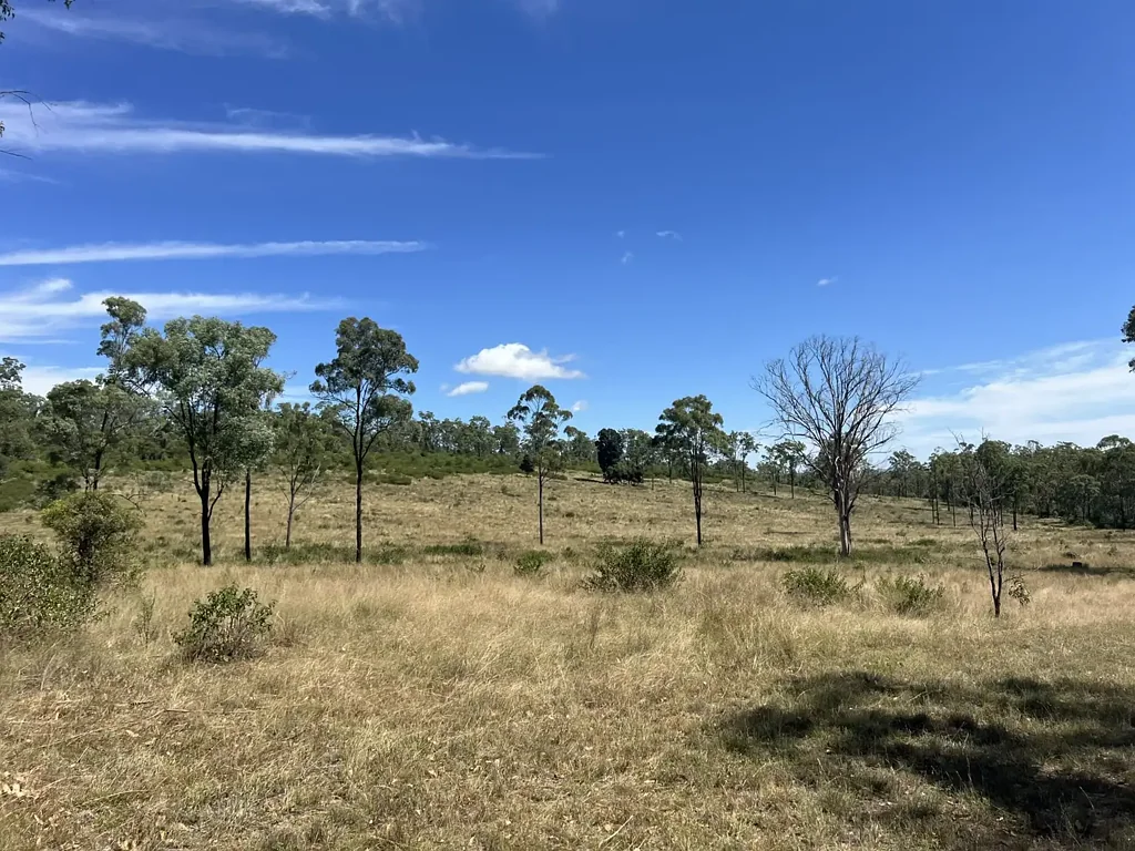 Nanango Forest Grazing Block