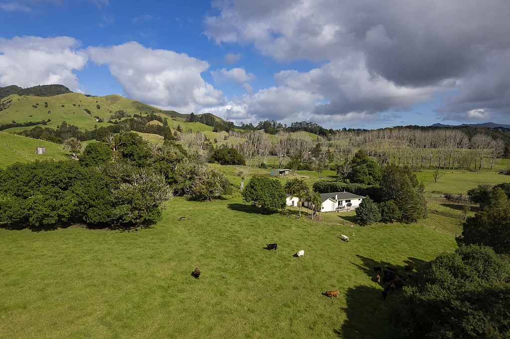 Kaitaia Surrounds Looking for that SPECIAL PROPERTY?
