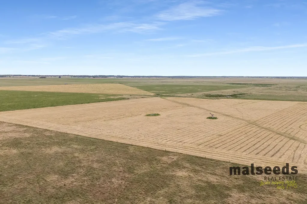 Lucindale MUST SELL – Approximately 1,184 Acres of Prime Cropping & Grazing Land NW of Lucindale