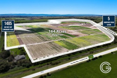Catani  MARKET GARDEN OPPORTUNITY - Premium 164 Acres - 2 Titles - 3 Road Frontages*