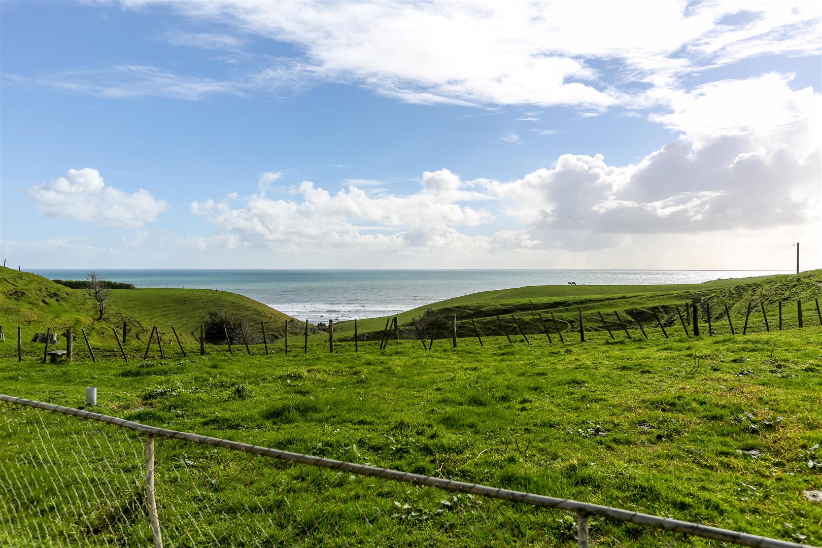 976 South Road, Omata, New Plymouth, 3 rūma, 0 rūma horoi