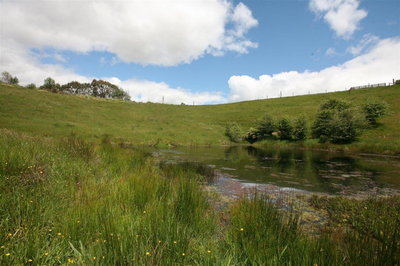 896a Glen Murray Road, Rangiriri, Waikato, 0 phòng ngủ, 0 phòng tắm