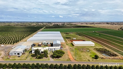 106 Sheehans Road, Calavos, QLD 4670, 6房, 2浴, Lifestyle Property