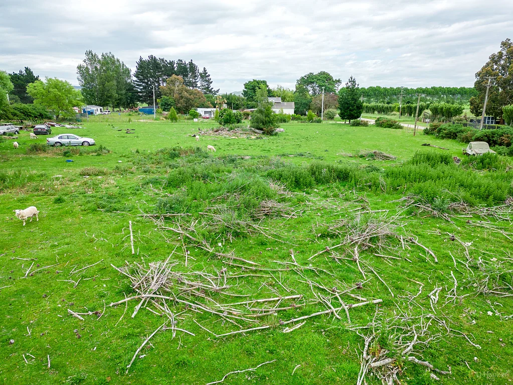 Waimate Land bank or build