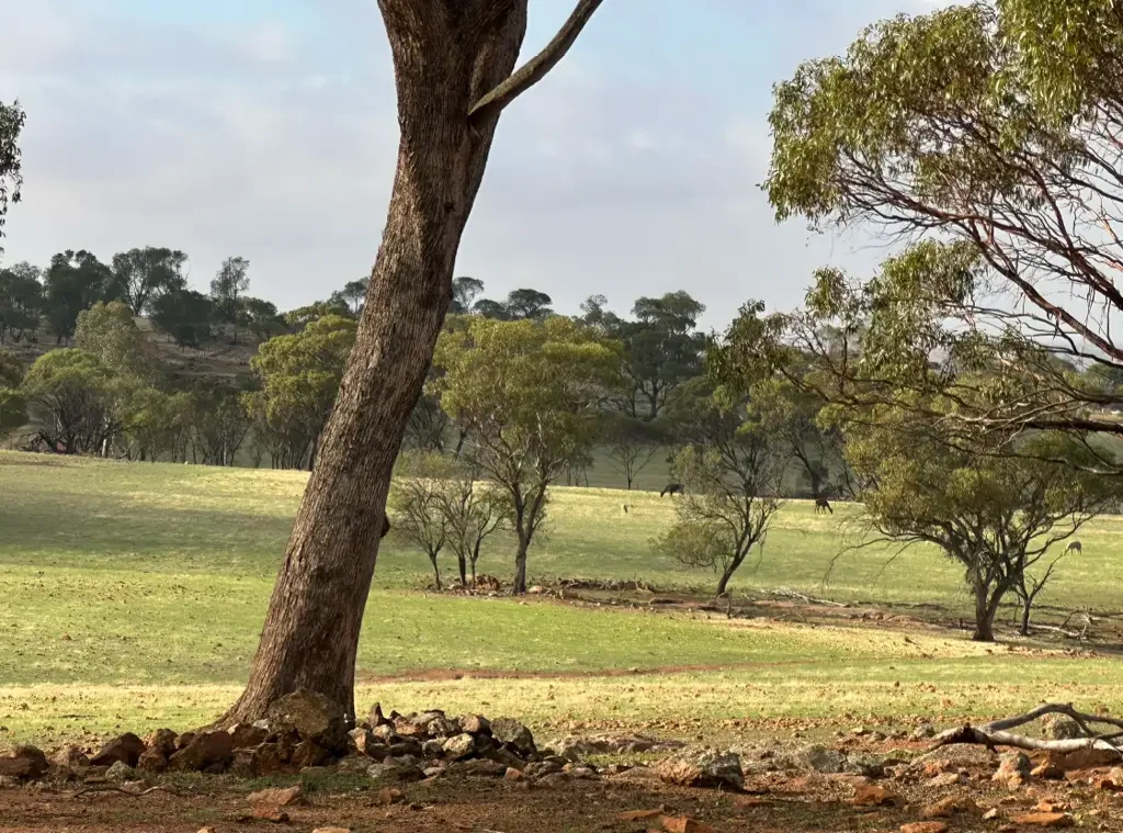 Mumberkine  80 Acres | Exceptional Water Security | Quality Infrastructure