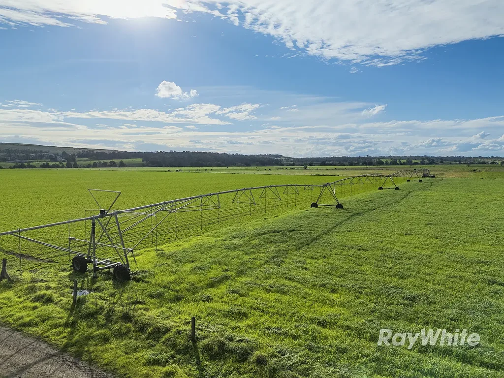 Singleton Highly Productive Irrigation Property with Extensive Water Entitlement