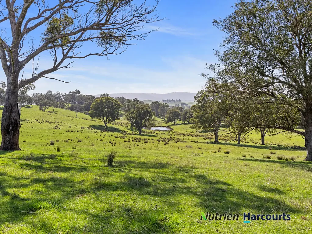 410 Guymers Road, Homewood, VIC 3717