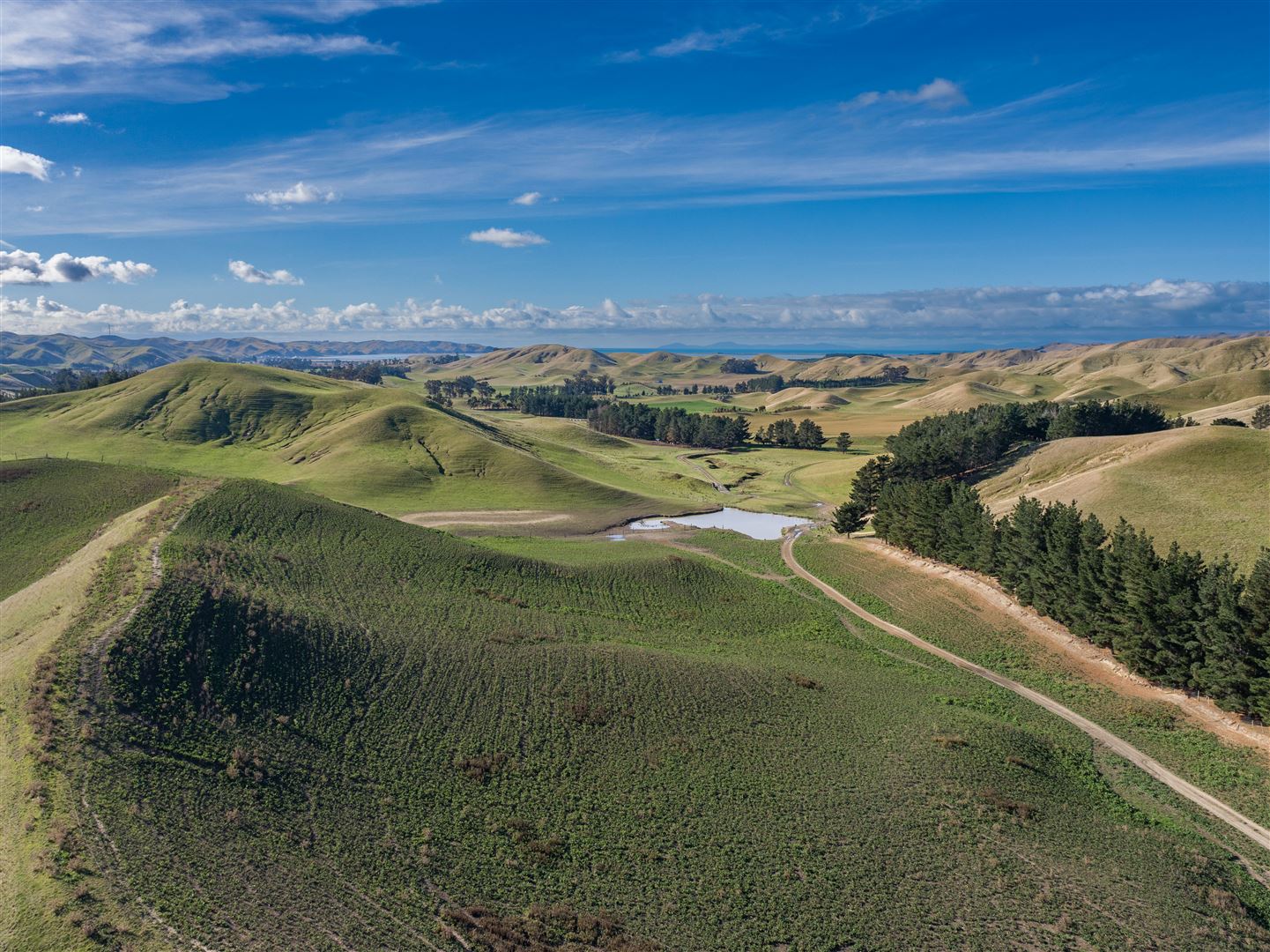 285 Grassmere Road, Seddon, Marlborough, 4 rūma, 2 rūma horoi, Viticulture