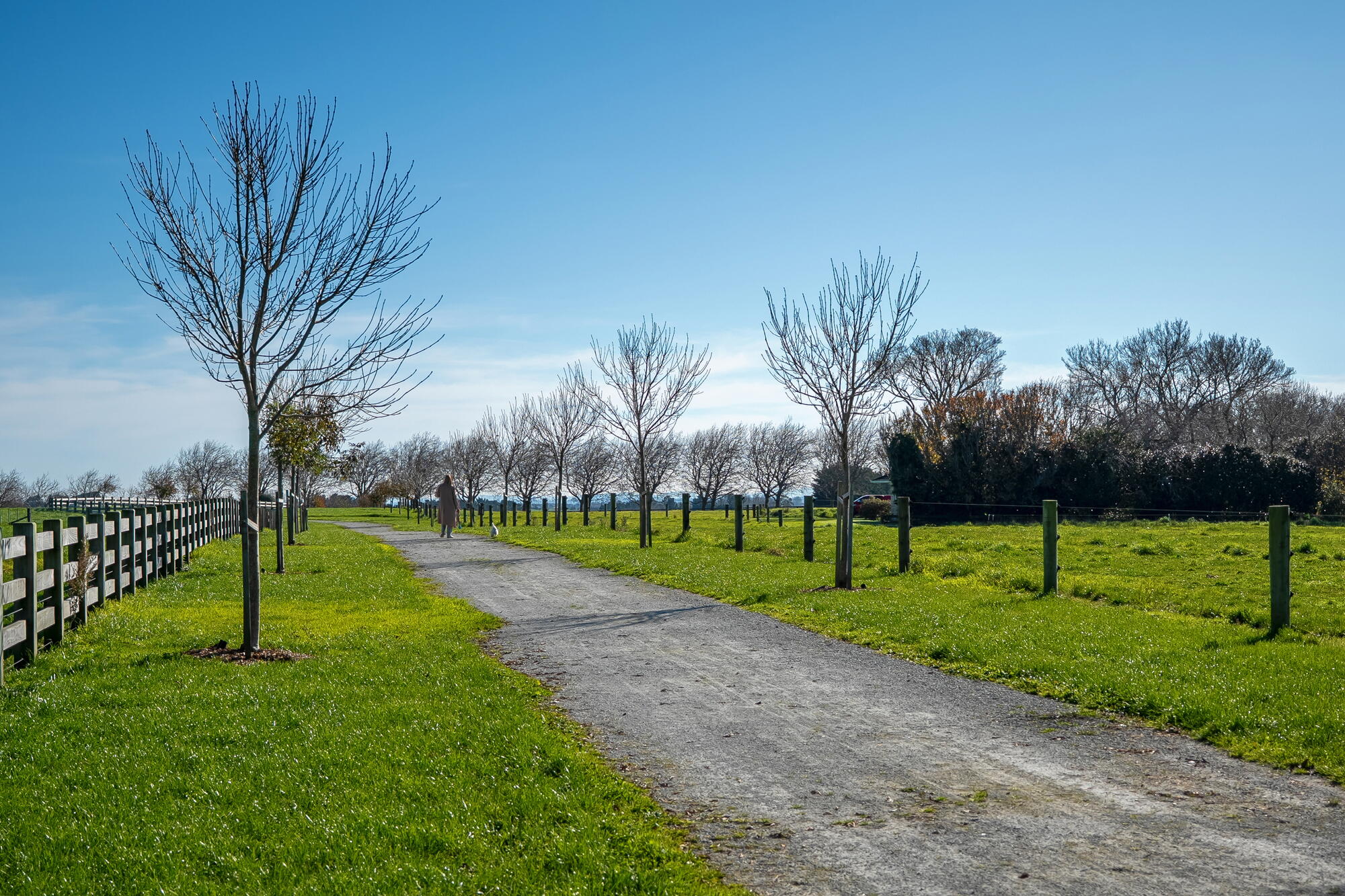 9 Kobe Street, Karaka, photo 15