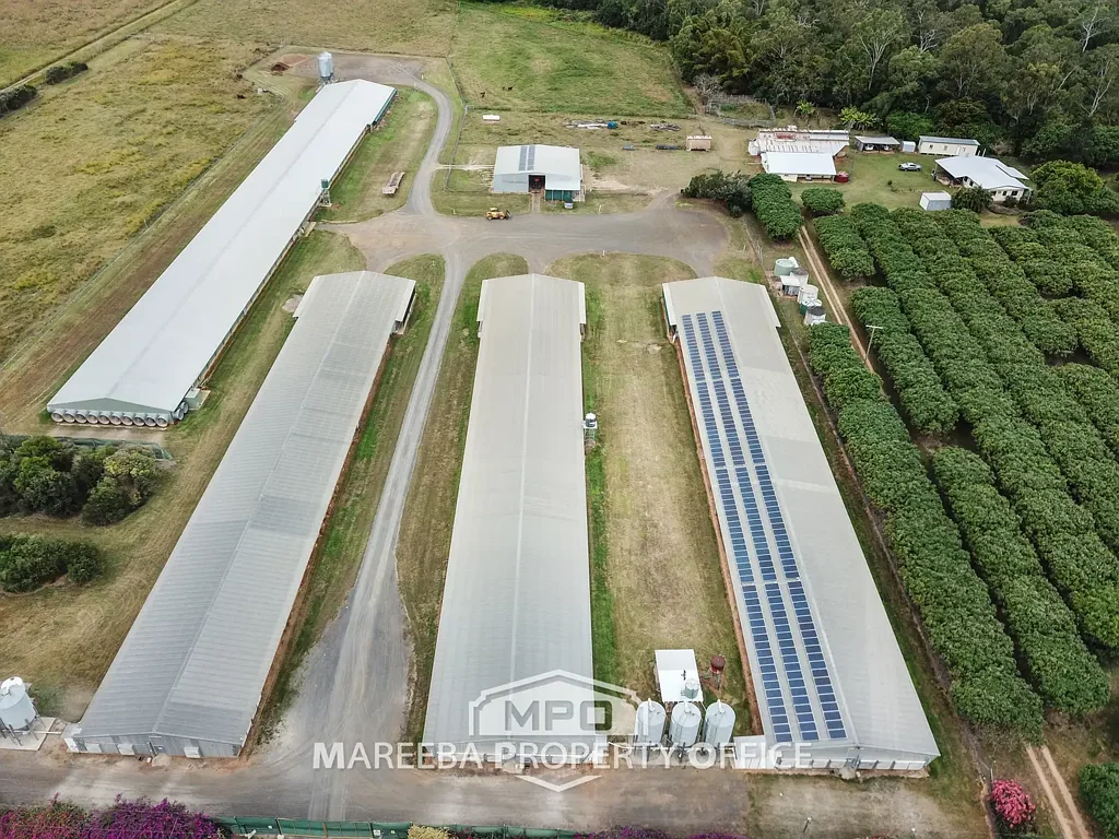 Biboohra  CONSISTENT INCOME PRODUCING POULTRY FARM