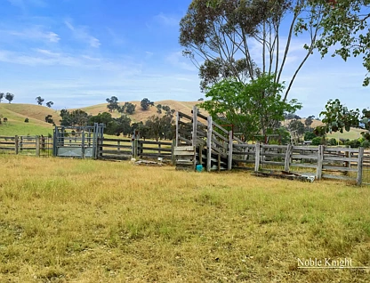 259 Murrindindi Road, Murrindindi, Shepparton, 5 Schlafzimmer, 2 Badezimmer, Lifestyle Property