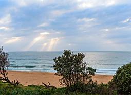 3/169 Ocean Street, Narrabeen