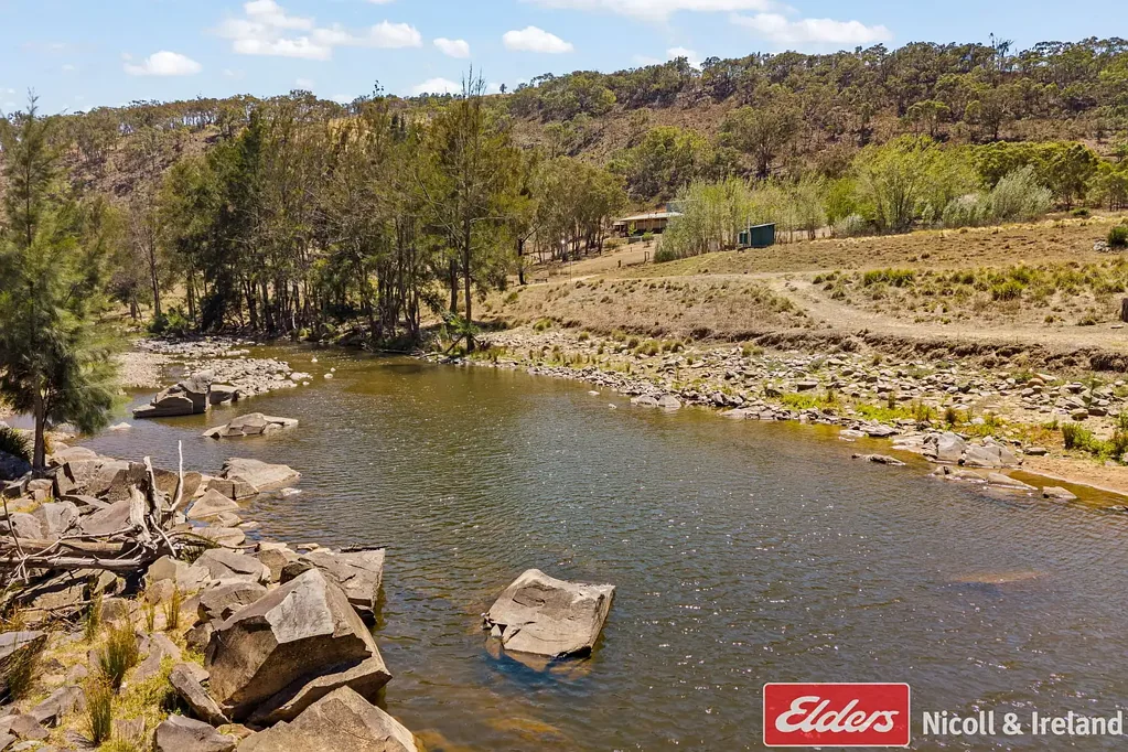 Bruinbun  ALONG THE BANKS OF THE MACQUARIE RIVER!