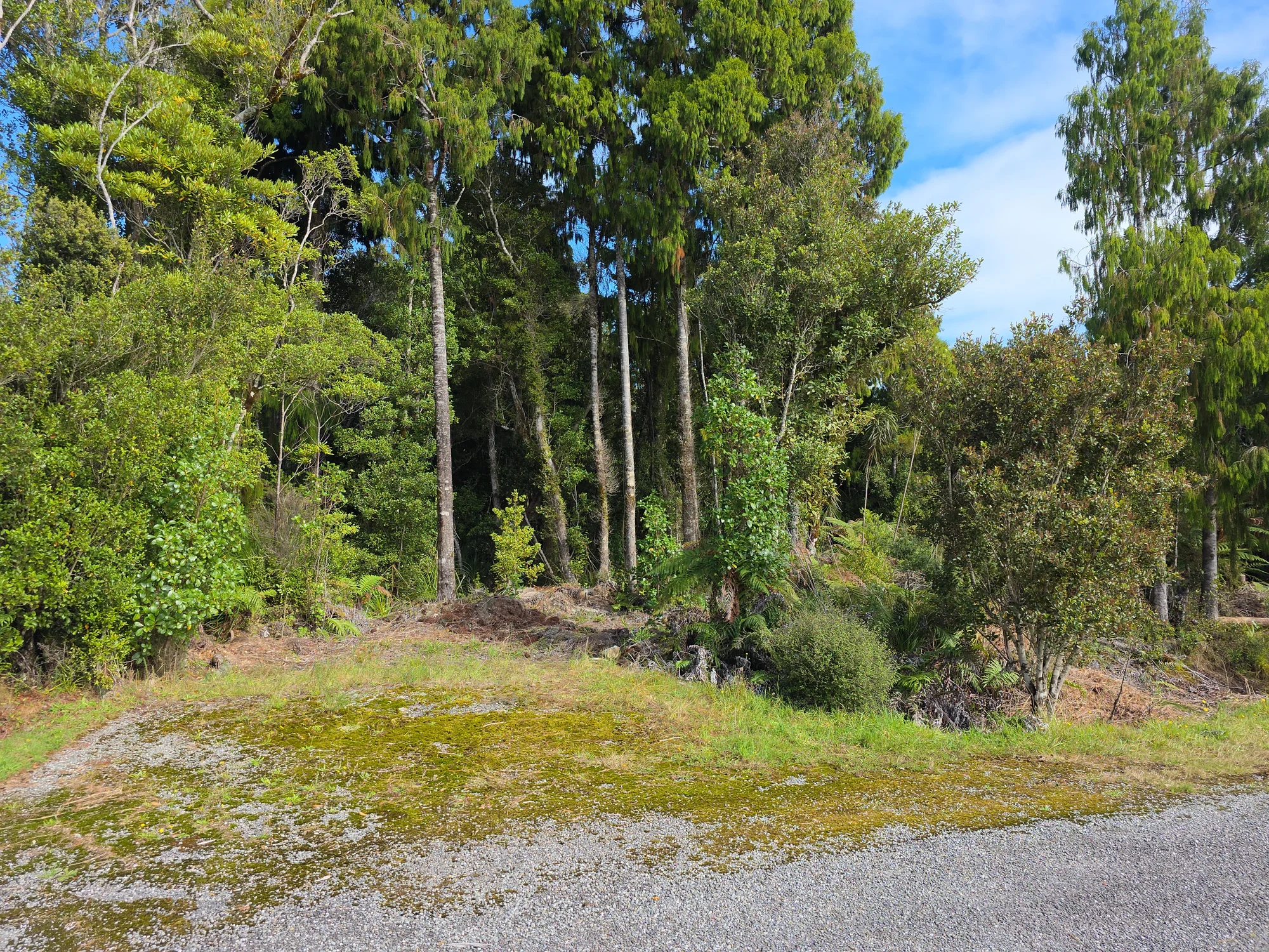 Awatuna  Birdsong, Bush & Beauty - Lifestyle Opportunity