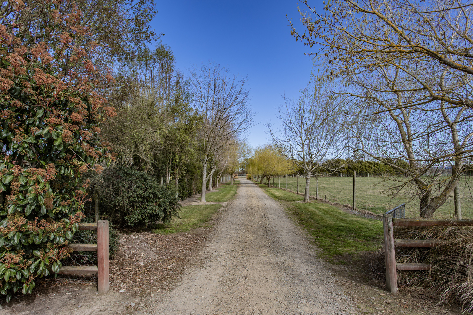 149 Harleston Road, Sefton, Waimakariri, 0 غرف, 0 حمامات, Lifestyle Section