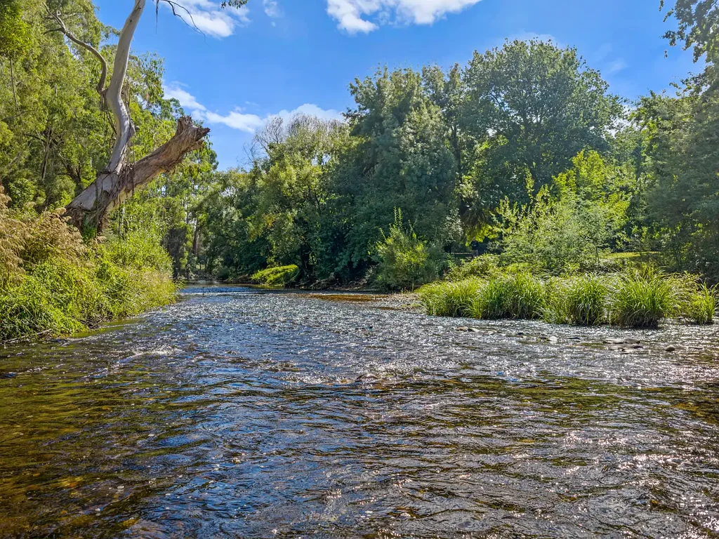 Jamieson 3બેડરૂમ 'Hibernia'- A Rare Jamieson Riverfront Cottage