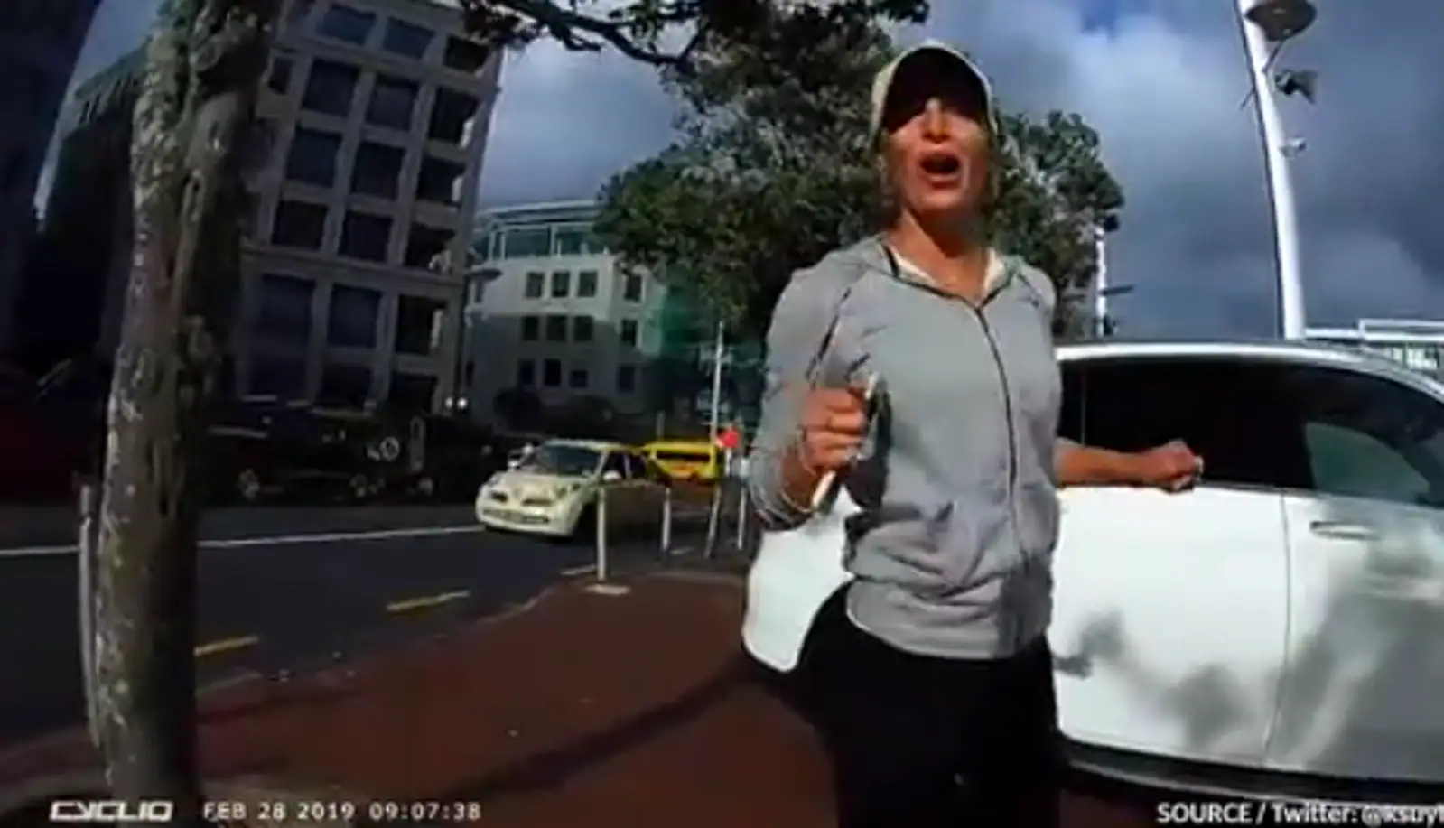 “整个Viaduct都是我的！”占道停车被抓包，亚裔路人和洋人车主当街斗嘴！