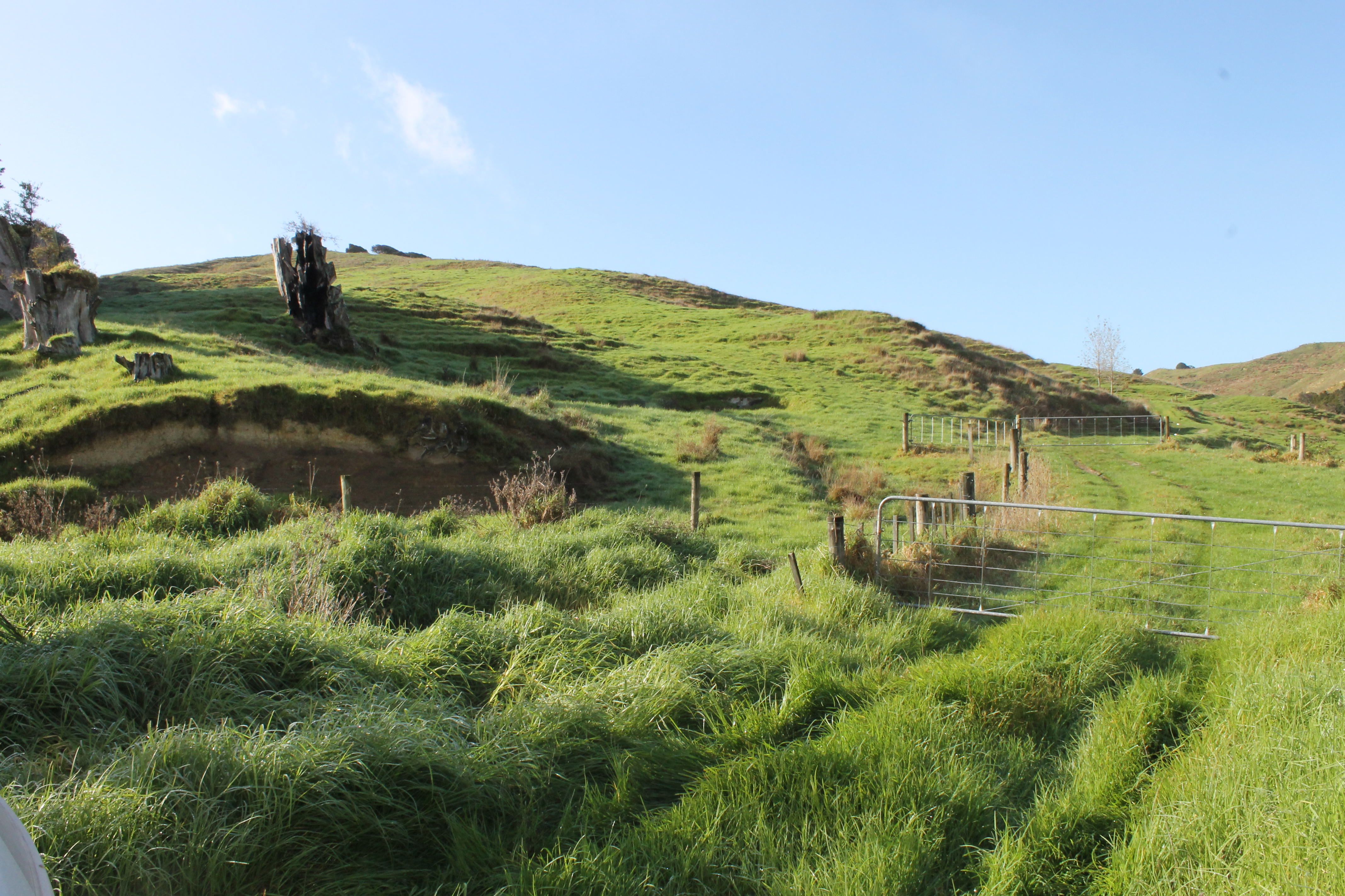 1311 State Highway 12, Maungaturoto, Kaipara, 0 Bedrooms, 0 Bathrooms