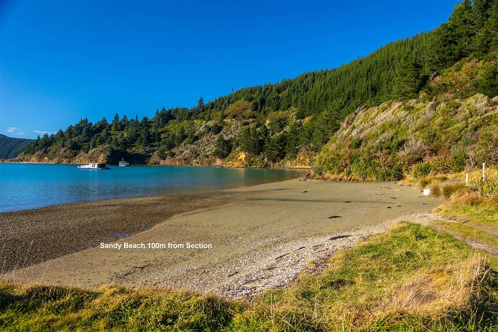 Port Underwood Oyster Bay Escape