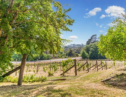 LOT 10/Part of 101 Mollison Street, Malmsbury, Ballarat, 0部屋, 0バスルーム, Section