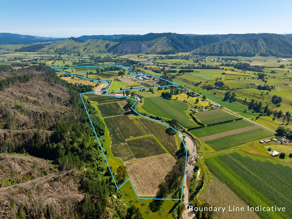 Tapawera  Berry Operation with Scale, Proven Performance