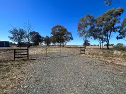 59 Yiddah Drive, Wyalong