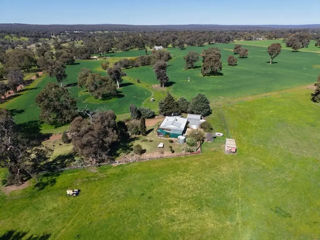Woottating Versatile Farmlet with Stables, Water & Bushland Retreat   53.92ha (133.18acres)