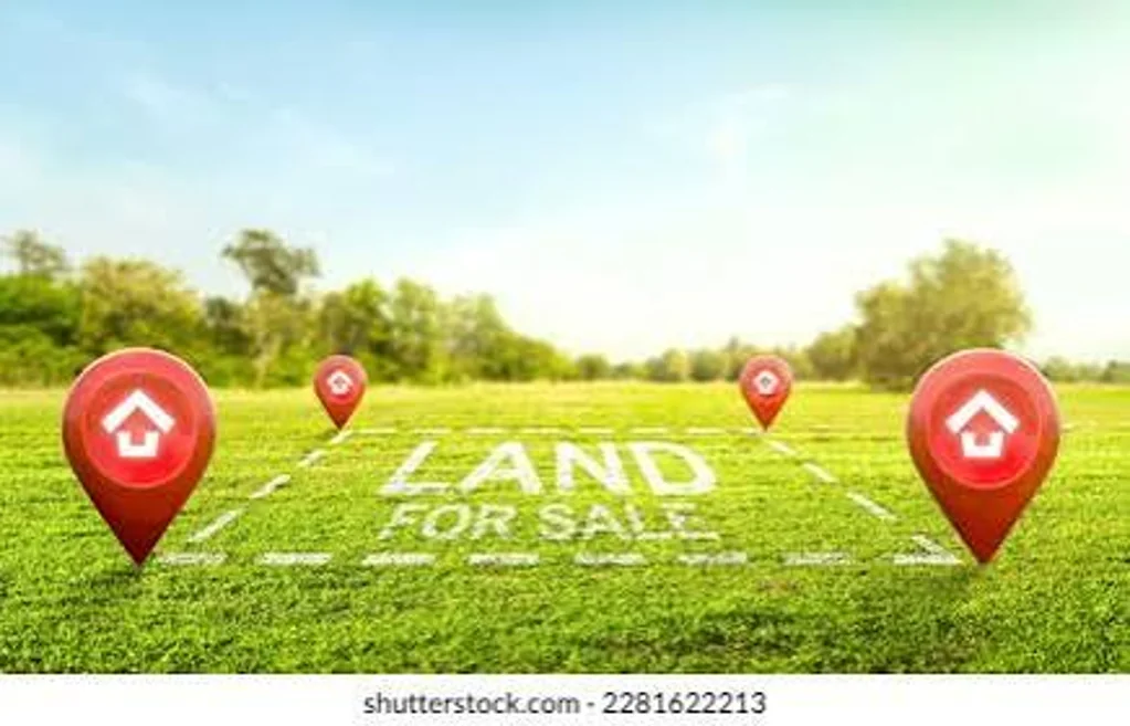 Karaka Urgent Sales 400m2 Section! Price Reduced